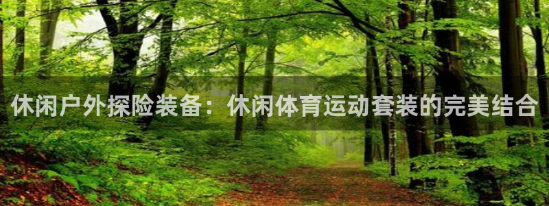 上海逐梦国际汽车电子有限公司：休闲户外探险装备：休闲体育运动套装的完美结合