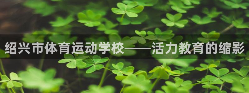 北京意昂科技有限公司：绍兴市体育运动学校——活力教育的缩影