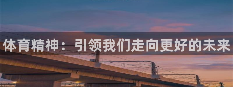 逐梦国际体育和杏耀是哪个公司的：体育精神：引领我们走向更好的未来