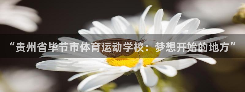 逐梦国际体育论坛：“贵州省毕节市体育运动学校：梦想开始的地方”