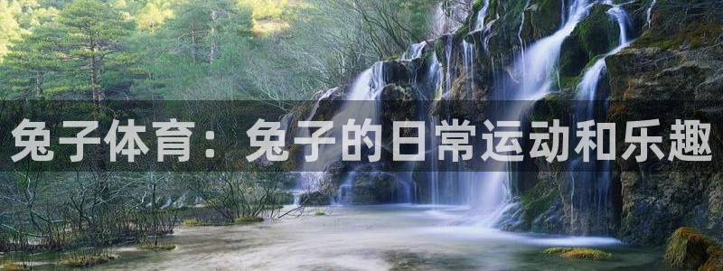 逐梦国际体育平台总代理：兔子体育：兔子的日常运动和乐趣