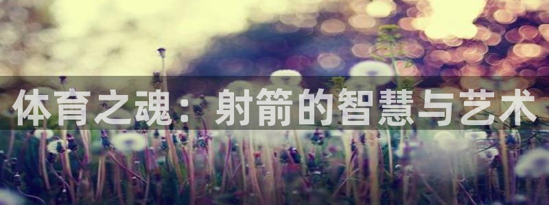 逐梦国际体育热门赛事有哪些：体育之魂：射箭的智慧与艺术