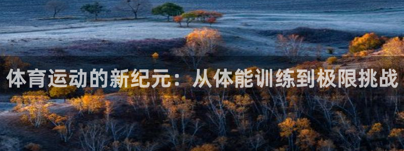 逐梦国际零能源集团：体育运动的新纪元：从体能训练到极限挑战