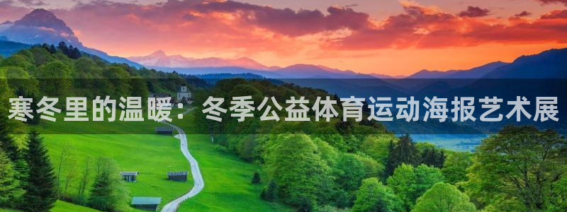逐梦国际体育：寒冬里的温暖：冬季公益体育运动海报艺术展